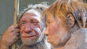 El misterio del cromosoma que separó a los humanos modernos de los neandertales