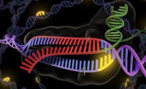 Desarrollan el bisturí más preciso del mundo para cortar el ADN