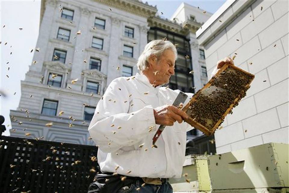 Hoteles de San Francisco instalan colmenas en sus azoteas