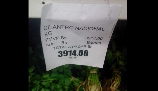 El insólito precio de un kilo de cilantro que deja pobre a más de uno (FOTO)