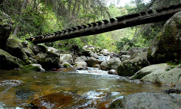 Turismo larense supera múltiples adversidades del país