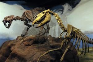 Trelew, la ciudad argentina que “resucitó” al dinosaurio más grande del mundo