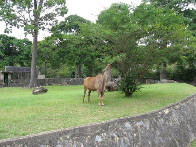 Zoologico de Caricuao