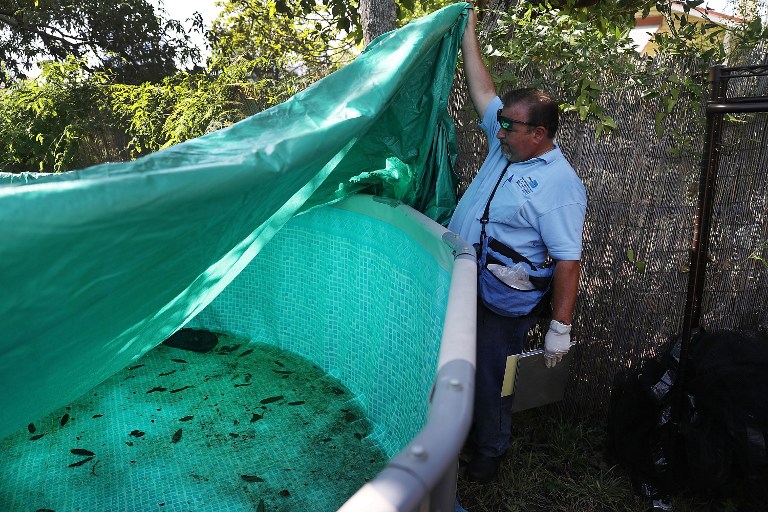 Muere bebé nacido con microcefalia causada por el Zika