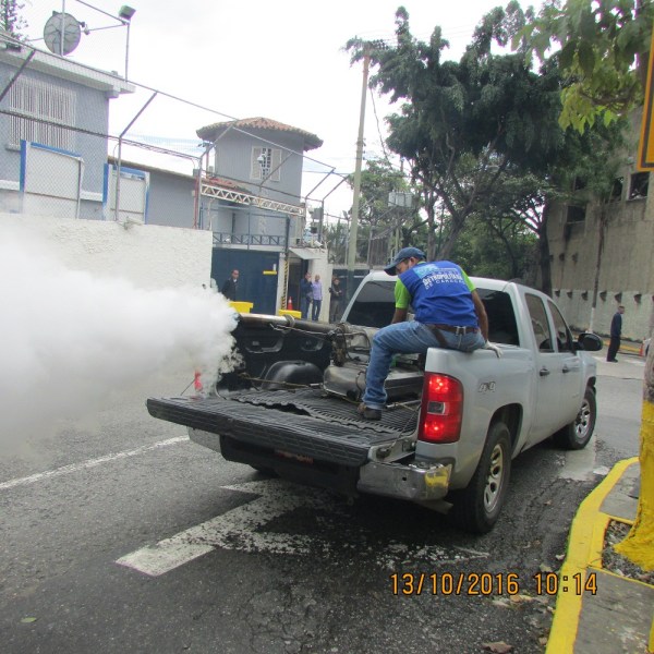 Fumigación 1