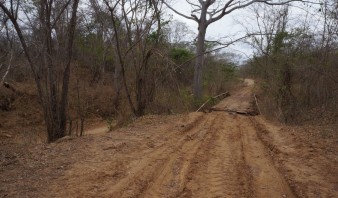 Productores perdieron más de 500 hectáreas de maíz por caída de puente en Anzoátegui