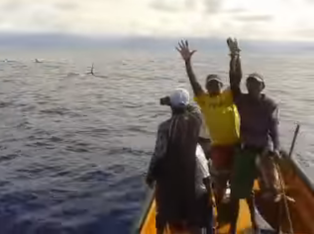 Lancheros se encontraron con orcas en las costas de Aragua (Video)