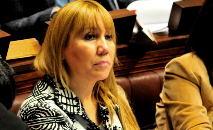 Diputada argentina del Parlasur repudió detención arbitraria del parlamentario Gilber Caro