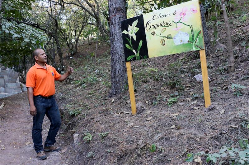 Homenaje con orquídeas al botánico inglés Paul House por su aporte a Honduras
