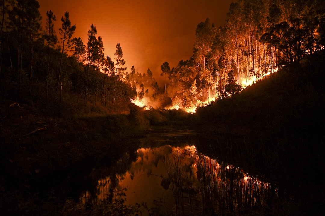 Infierno en Portugal: El peor incendio de la historia (Fotos)