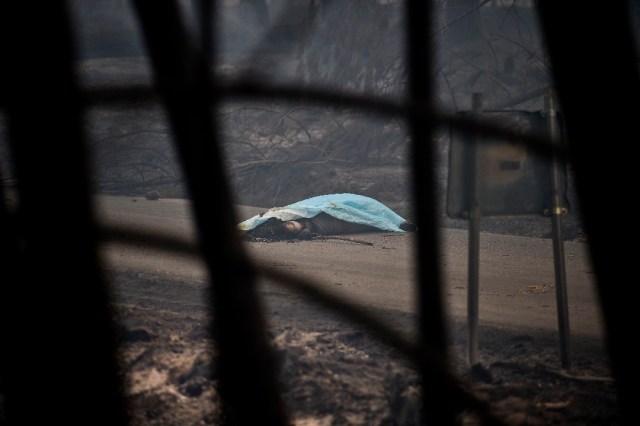 The dead body of a victim of a wildfire lies covered by a blanket on a road in Pedrogao, on June 18, 2017. A wildfire in central Portugal killed at least 57 people and injured 59 others, most of them burning to death in their cars, the government said on June 18, 2017. Several hundred firefighters and 160 vehicles were dispatched late on June 17 to tackle the blaze, which broke out in the afternoon in the municipality of Pedrogao Grande before spreading fast across several fronts. / AFP PHOTO / PATRICIA DE MELO MOREIRA