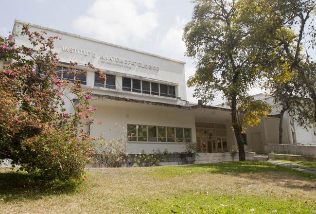 Asesinan a profesora dentro del Instituto Anatomopatológico de la UCV