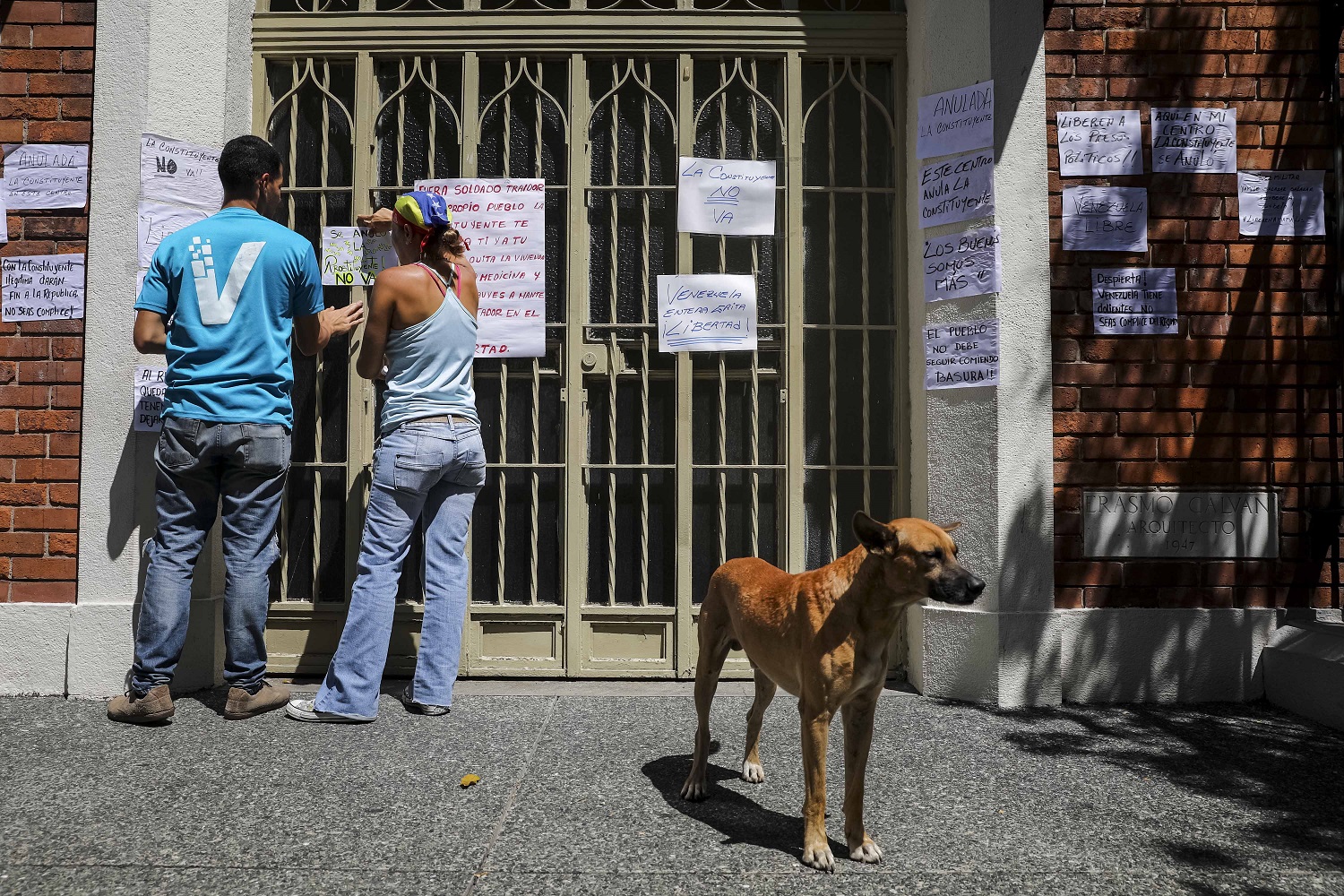 Este perrito también se unió al pancartazo contra la Constituyente cubana #24Jul (FOTO)