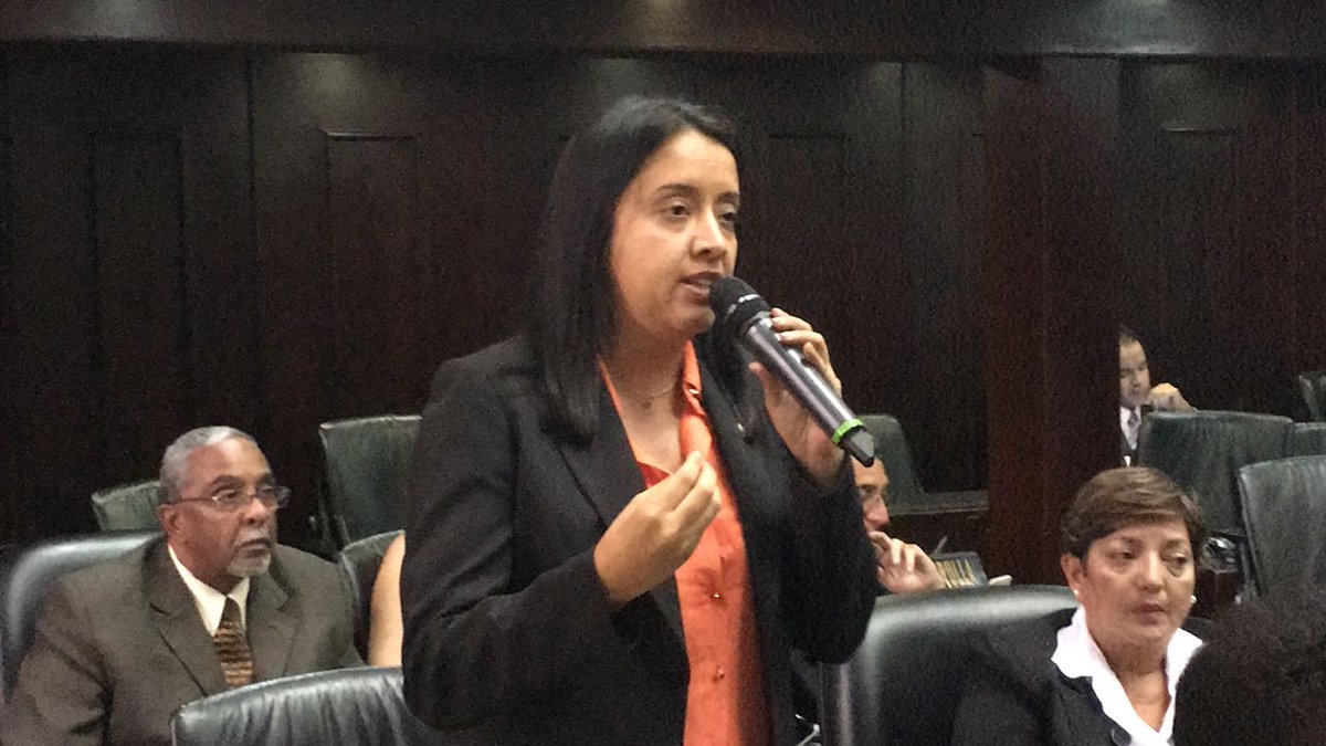 Gaby Arellano: Testigos deben mantenerse en las mesas para resguardar el voto