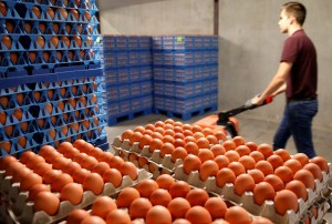 Reino Unido importó unos 700 mil  huevos contaminados