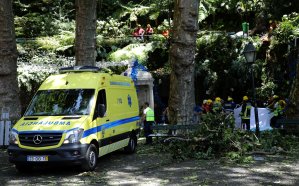 Caída de árbol provoca 13 muertos durante festividad en Madeira
