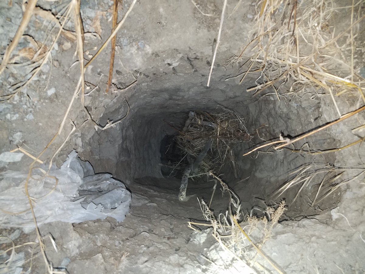 Descubren túnel en la frontera México-EEUU usado para el cruce de indocumentados