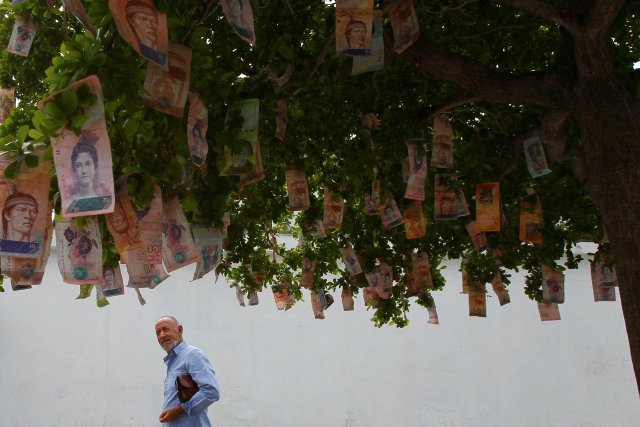 Un hombre ve en notas de Bolivar que cuelgan en un árbol en una calle en Maracaibo, Venezuela el 11 de noviembre de 2017. Imagen tomada el 11 de noviembre de 2017. REUTERS / Isaac Urrutia