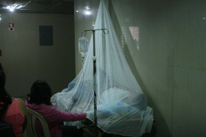 Casos de paludismo se han incrementado 660% en Nueva Esparta