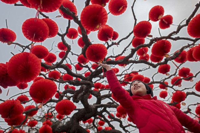 A girl touches a lantern attached to a tree to celebrate the Lunar New Year, marking the Year of the Dog, at the Ditan park in Beijing on February 17, 2018. The Lunar New Year falls on February 16 this year, with celebrations in China scheduled to last for a week. / AFP PHOTO / NICOLAS ASFOURI
