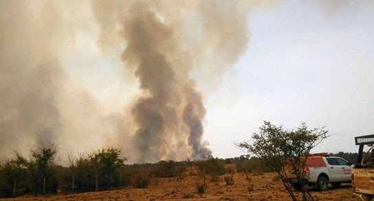 Prenden fuego para un asado y se queman 1.000 hectáreas en Argentina