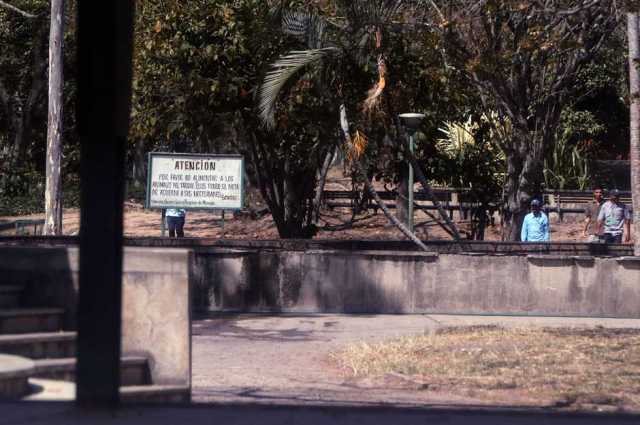 Parque Francisco de Miranda, lugar donde se encuentran las Nuprias están bastante custodiadas por los vigilantes del parque. (Foto:Venancio Alczares / extraída de El Universal) 
