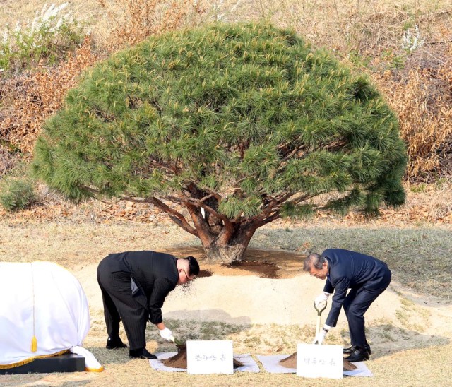 South Korean President Moon Jae-in and North Korean leader Kim Jong Un plant a tree at the truce village of Panmunjom inside the demilitarized zone separating the two Koreas, South Korea, April 27, 2018. Korea Summit Press Pool/Pool via Reuters