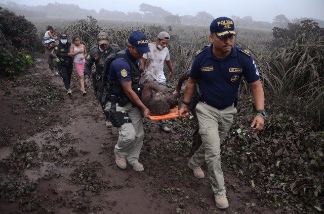 Agentes de la policía portan a un herido después de la erupción del volcán Fuego, en el pueblo de El Rodeo, departamento de Escuintla, a 35 km al sur de Ciudad de Guatemala el 3 de junio de 2018. / AFP PHOTO / NOE PEREZ