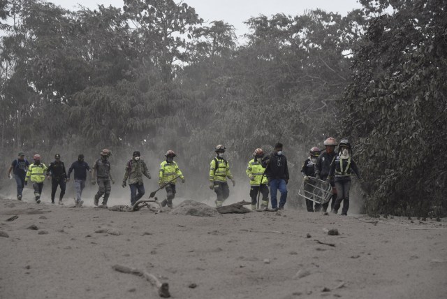 Los equipos de rescate buscan víctimas en San Miguel Los Lotes, un pueblo en el departamento de Escuintla, a unos 35 km al suroeste de Ciudad de Guatemala, el 4 de junio de 2018, un día después de la erupción del volcán de Fuego Al menos 25 personas murieron, según el Coordinador Nacional de Reducción de Desastres (Conred), cuando el volcán Fuego de Guatemala entró en erupción el domingo, eructando cenizas y rocas y obligando al aeropuerto a cerrarse. / AFP PHOTO / Johan ORDONEZ