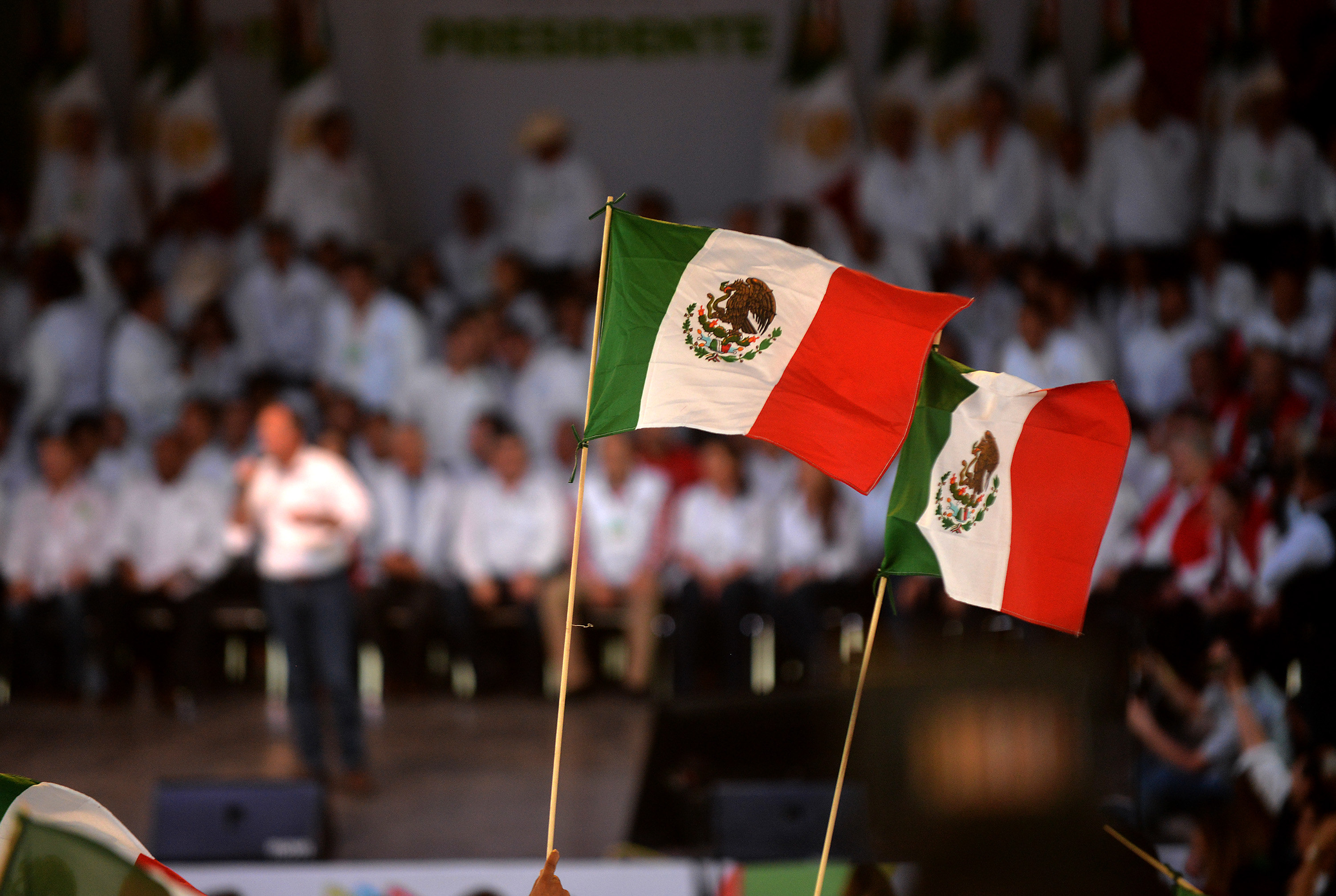 ONG reveló corrupción entre una red de empresas fantasma y organismo agrícola de México