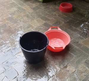 #EscombrosDeMaduro: Habitantes de Valencia obtienen agua mediante la lluvia tras varios días sin el vital líquido