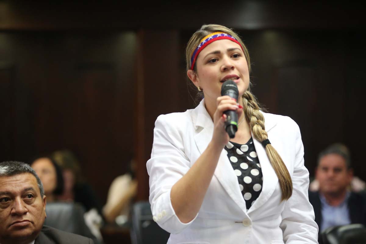 Elimar Díaz: En la AN legítima seguimos firmes en la lucha por Venezuela #5Ene