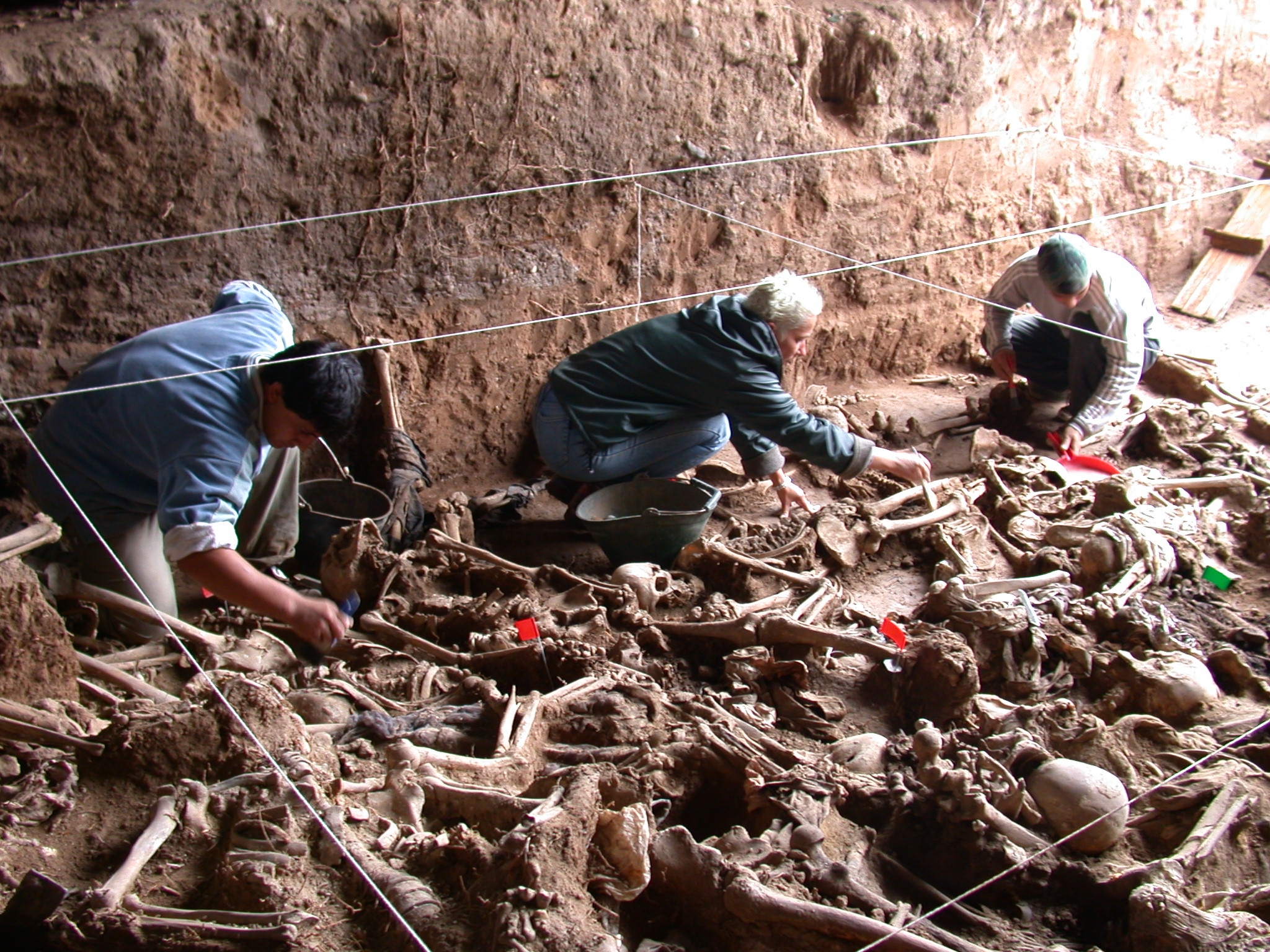 Forenses argentinos lanzan plan para identificar desaparecidos en dictadura