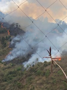 Reportan fuerte incendio forestal en urbanización Cerro Verde de Baruta (Fotos)