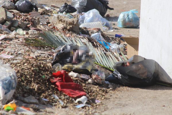 Detienen a madre de recién nacida abandonada en basurero de Catia La Mar