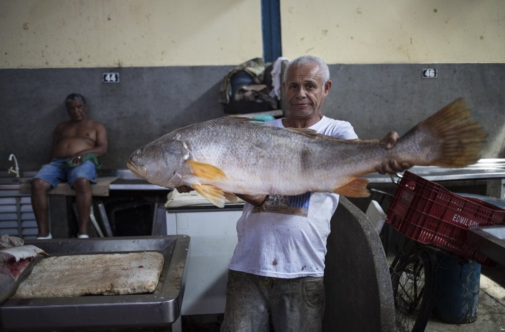 Samba, frutas y peces cautivan en mercado amazónico brasileño (Fotos)
