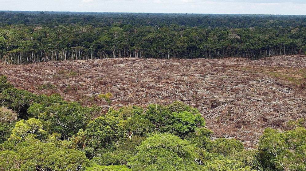 La Amazonia podría convertirse en una sabana en 50 años, según estudio