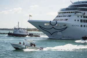Cruceristas regresan de viaje y encuentran sus vehículos vandalizados en Miami