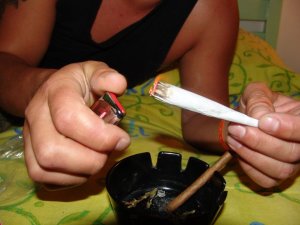 Se duplica consumo de marihuana y aumenta apoyo a su legalización en Florida