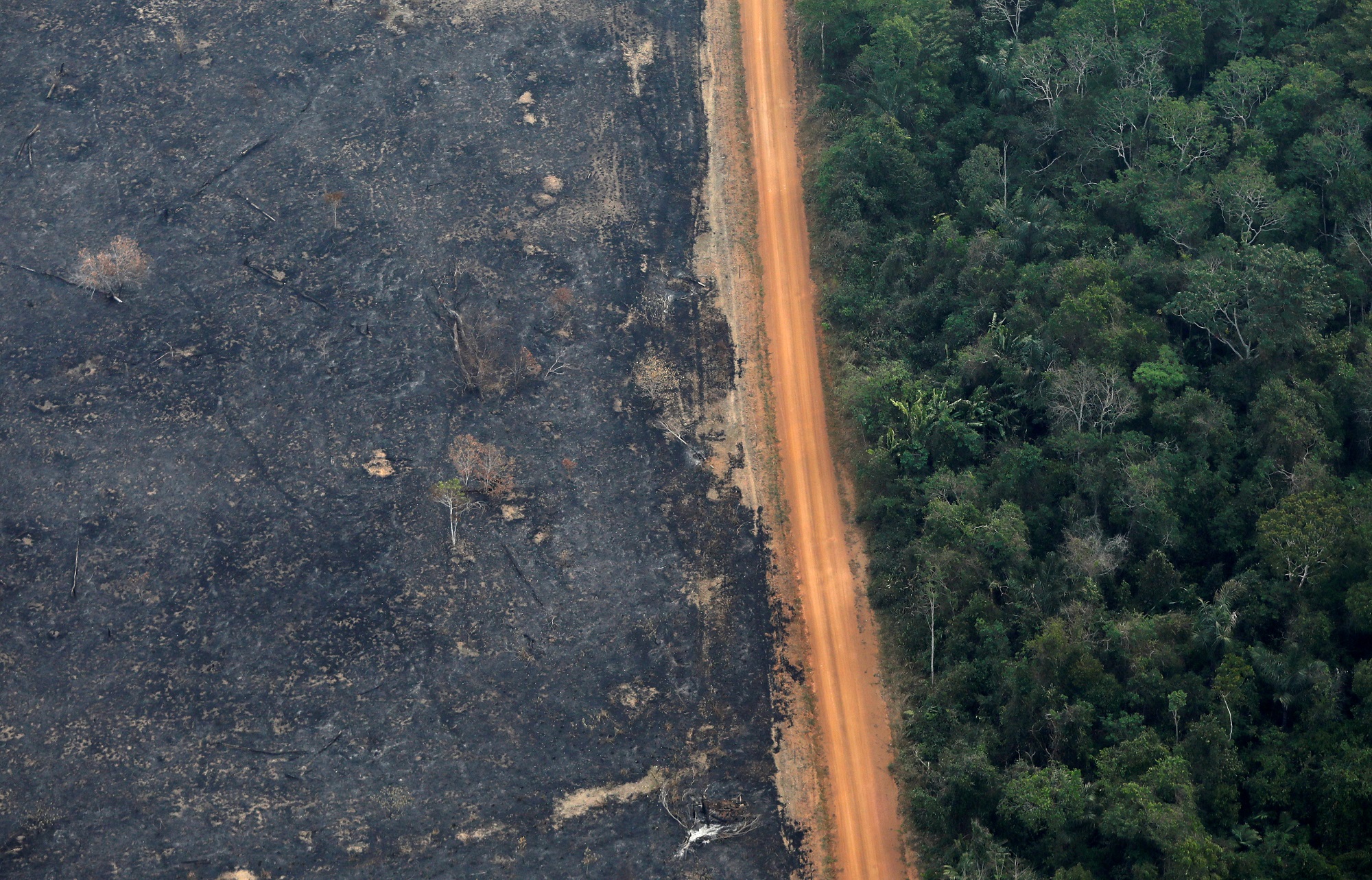 Brasil dejará de combatir la deforestación ilegal del Amazonas