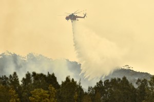 Declaran el estado de emergencia en capital Australiana por incendios