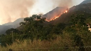 IMÁGENES: Incendio forestal consumió hectáreas del parque Henri Pittier en Aragua