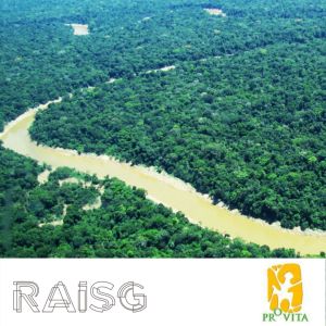 Territorios indígenas protegen más del 58% de las reservas de carbono de la Amazonia