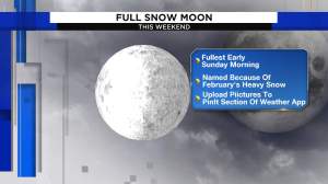Luna llena de nieve esta noche en Florida