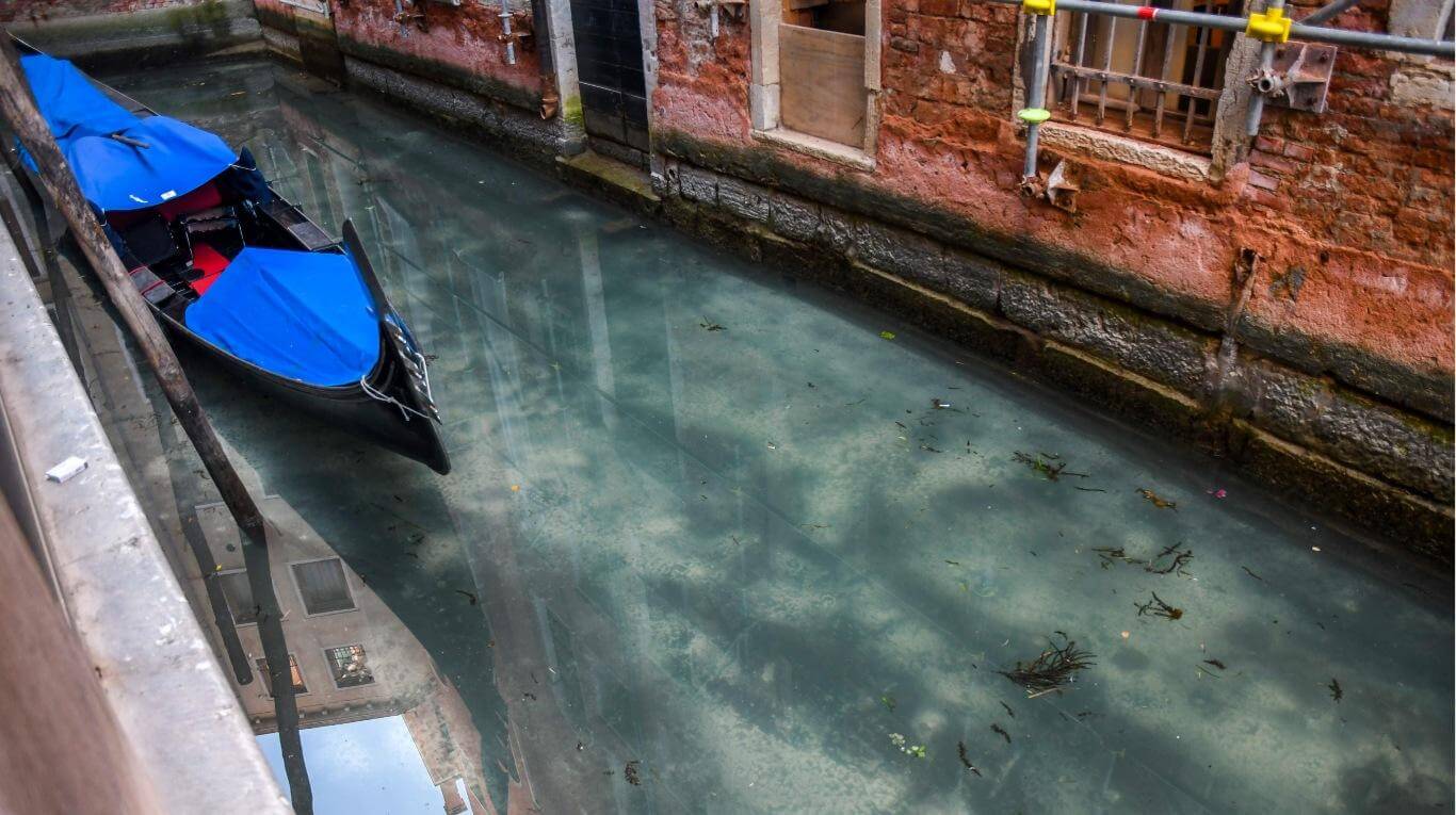 ¿La Tierra tomando un respiro? En Venecia el agua ahora es cristalina y se llenó de cisnes (FOTOS)