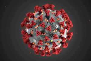 ¿Qué es la carga viral y por qué es importante en el contagio por coronavirus?