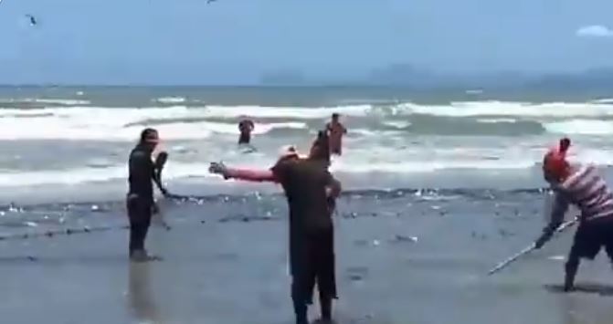 Cardumen fue la bendición de los pescadores margariteños en plena cuarentena (Videos)