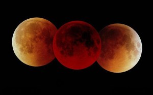 La “Luna de Rosa” y los “Anillos de Fuego”: Los increíbles eclipses que ocurrirán en junio