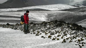 El raro fenómeno de los ratones glaciares que sorprendió a los científicos (Fotos)