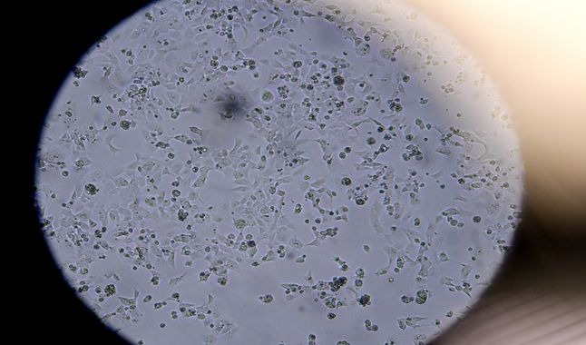 Crean filtro de aire que puede atrapar y matar al coronavirus de manera instantánea